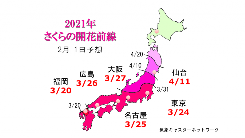 開花 予想 2021