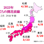 WCN　さくらの開花予想2023　第4回