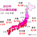 WCN　さくらの開花予想2023　第6回