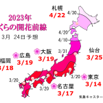 WCN　さくらの開花予想2023　第8回
