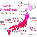 WCN　さくらの開花予想2023　第9回