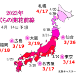 WCN　さくらの開花予想2023　第11回